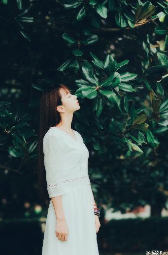 国产免费完整高清电视剧在线看